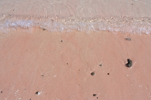 ピンク色の浜