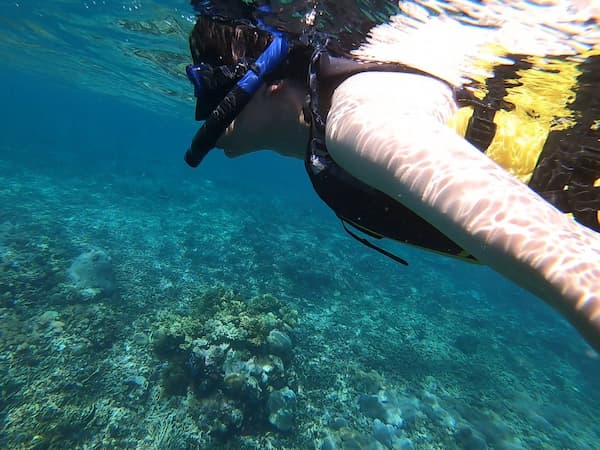 snorkeling at coral reef spot